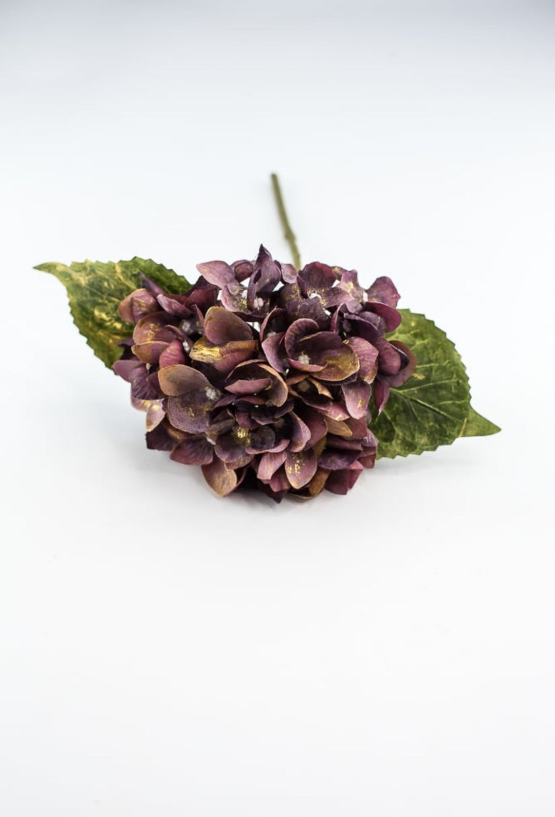 Hydrangea stem - Greenery Market215717