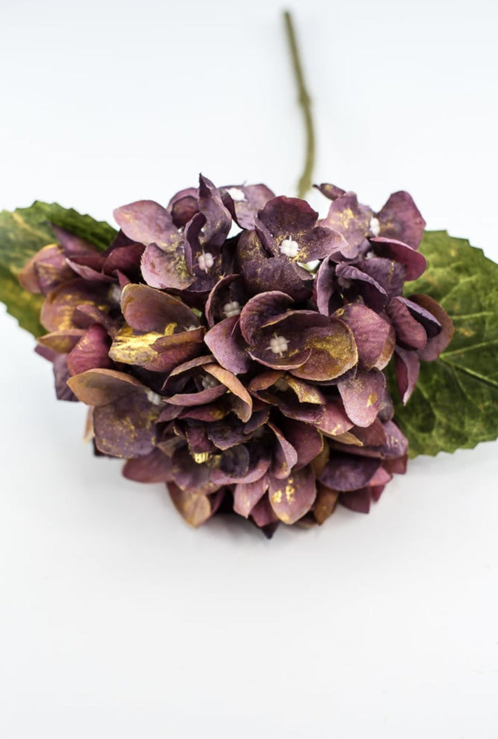 Hydrangea stem - Greenery Market215717