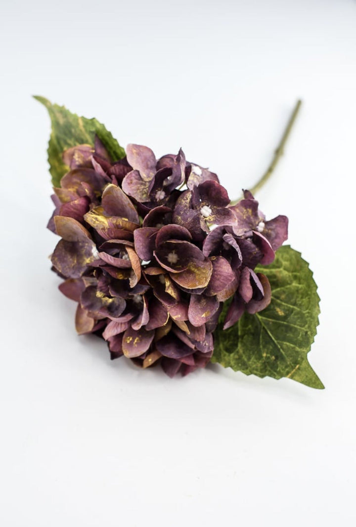 Hydrangea stem - Greenery Market215717