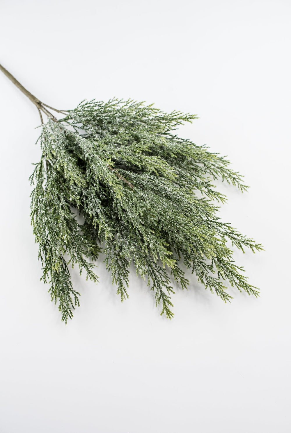 Iced cypress bush - Greenery Market84351