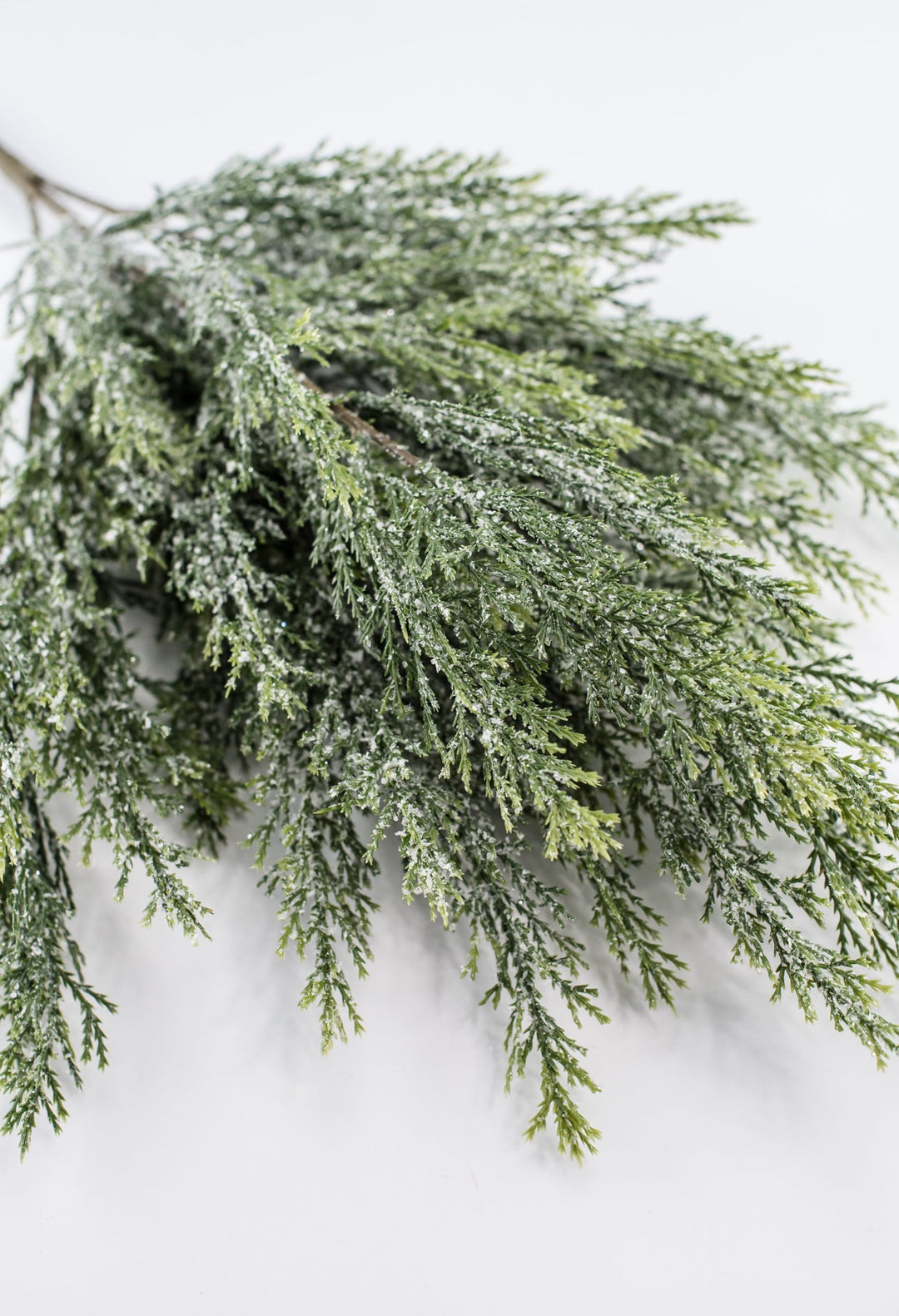 Iced cypress bush - Greenery Market84351