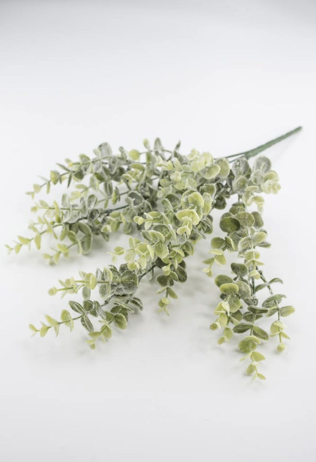 Iced eucalyptus with shimmer - Greenery Marketgreenery84995FROST