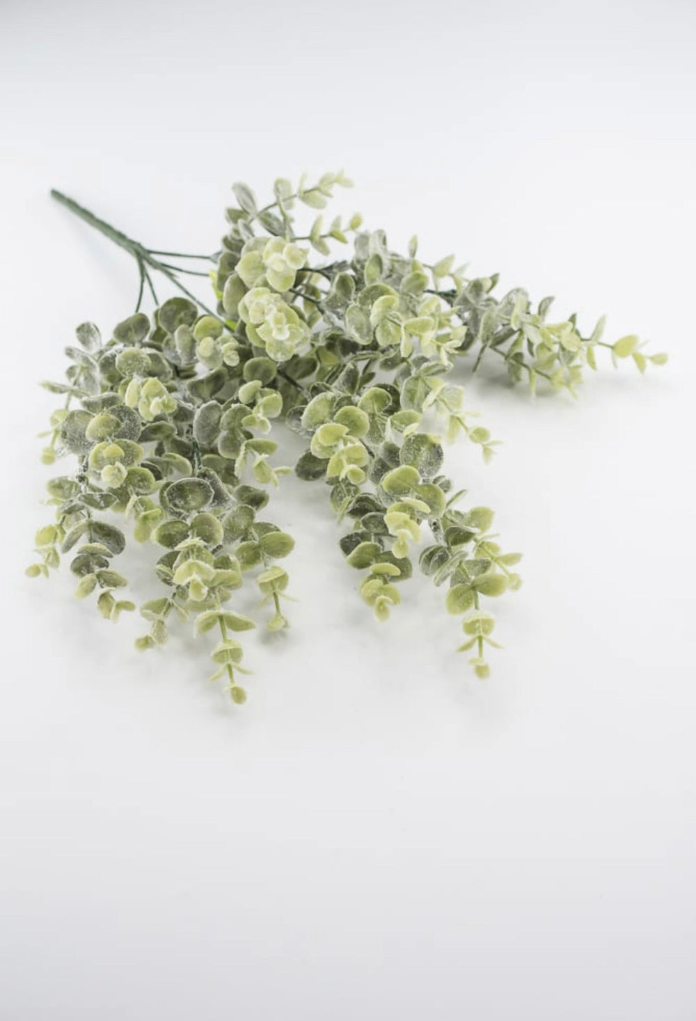 Iced eucalyptus with shimmer - Greenery Marketgreenery84995FROST