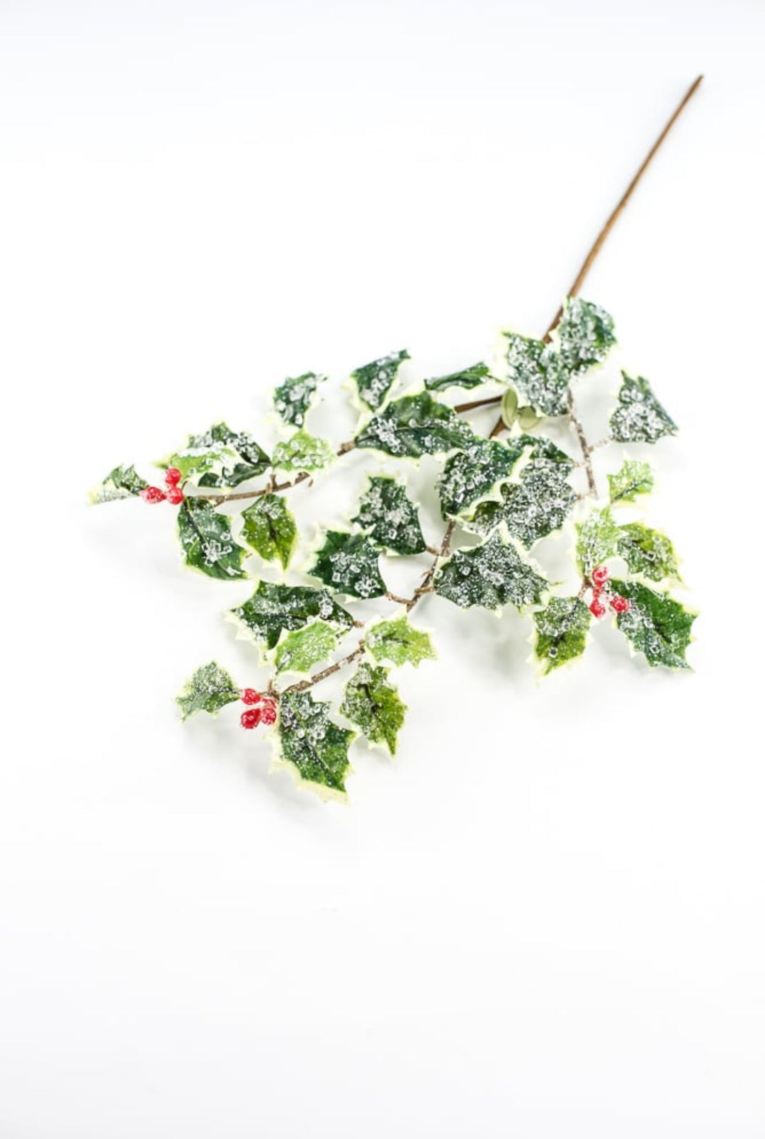 Iced holly spray - variegated - Greenery MarketMTX74457 VAR