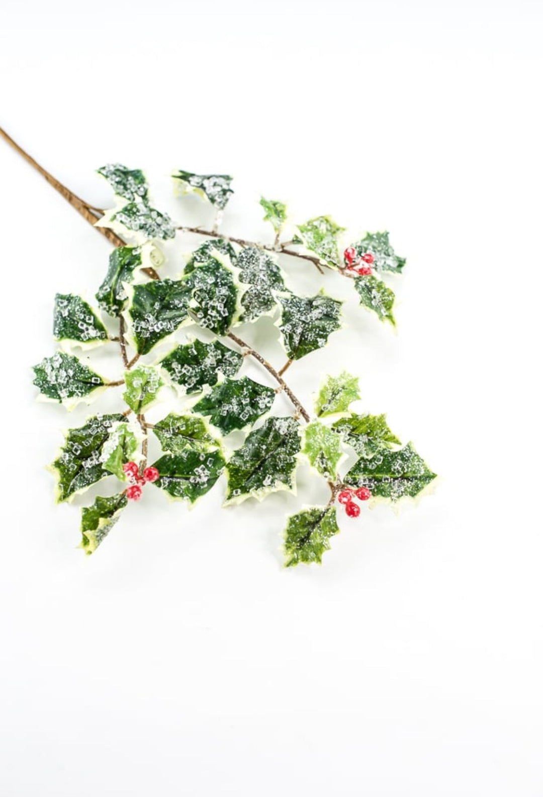 Iced holly spray - variegated - Greenery MarketMTX74457 VAR
