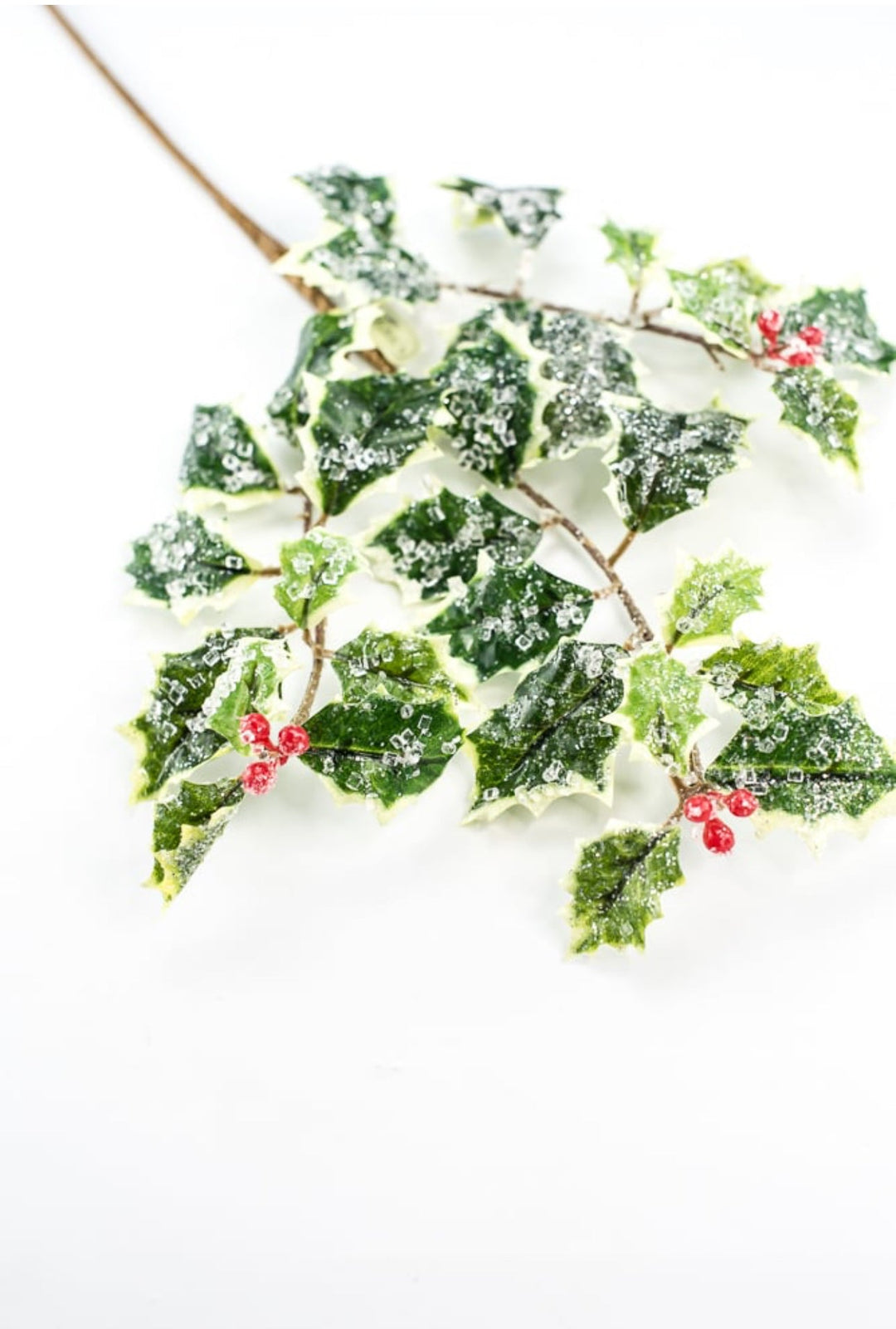 Iced holly spray - variegated - Greenery MarketMTX74457 VAR