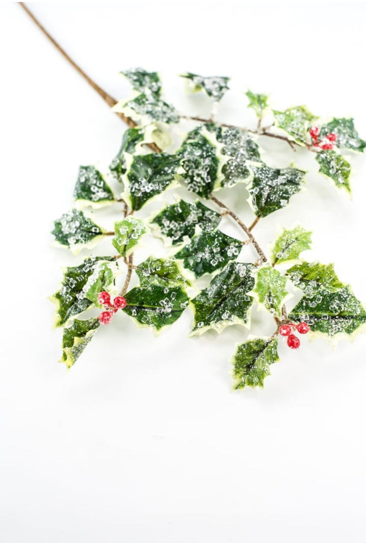 Iced holly spray - variegated - Greenery MarketMTX74457 VAR
