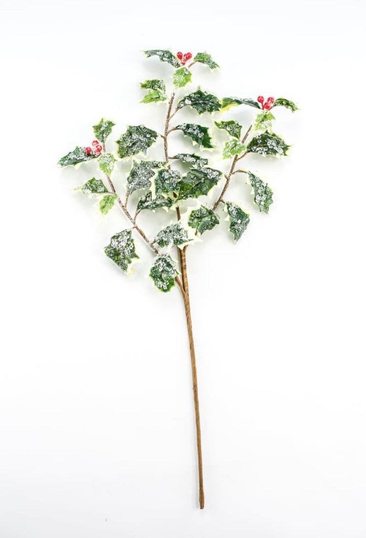 Iced holly spray - variegated - Greenery MarketMTX74457 VAR