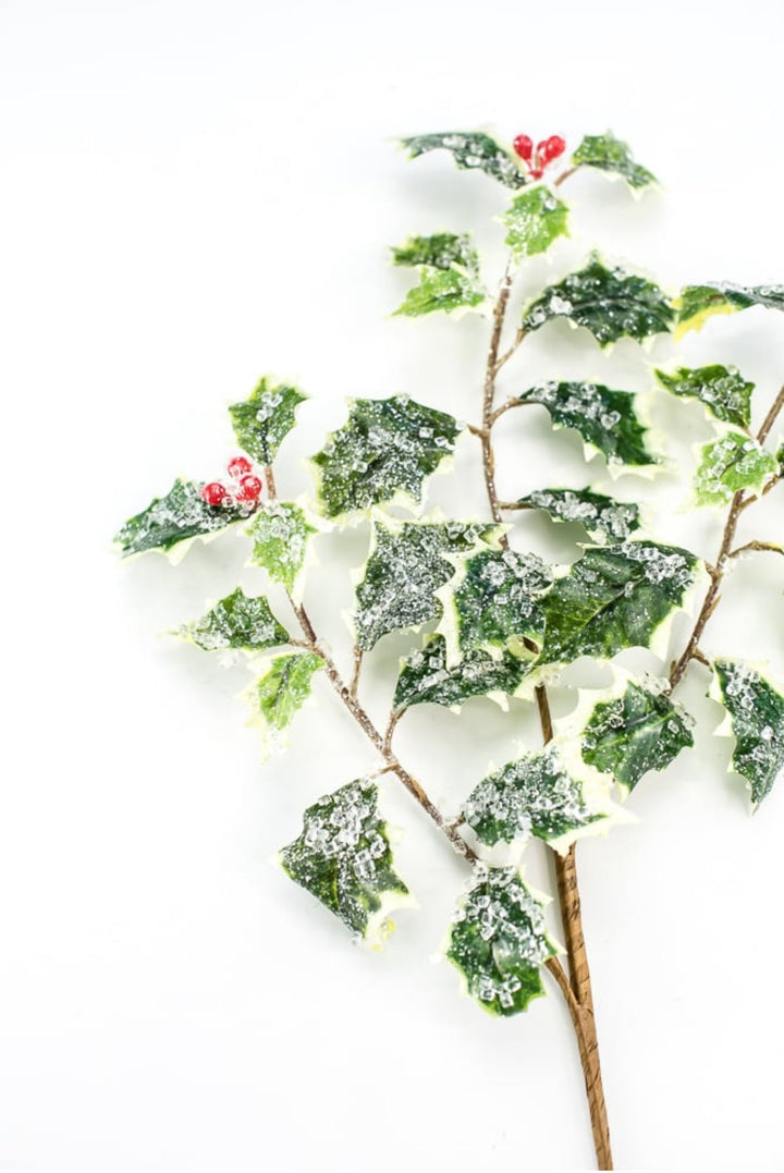 Iced holly spray - variegated - Greenery MarketMTX74457 VAR