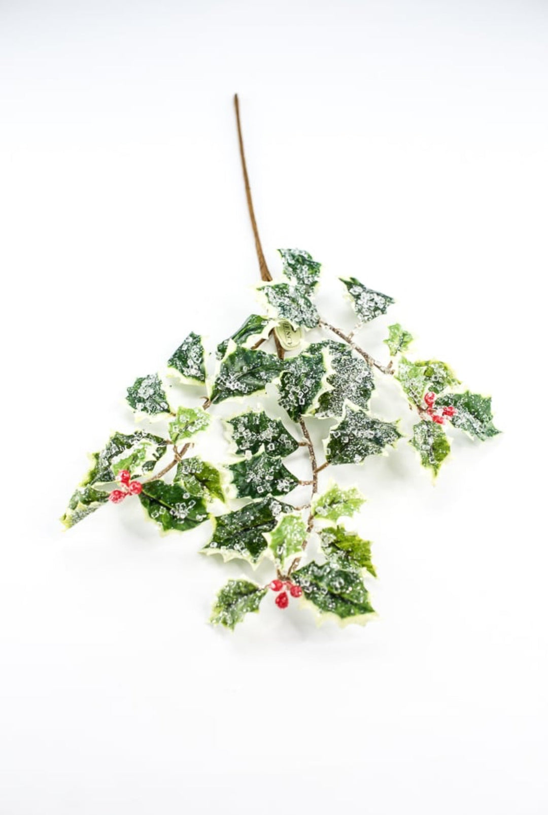 Iced holly spray - variegated - Greenery MarketMTX74457 VAR