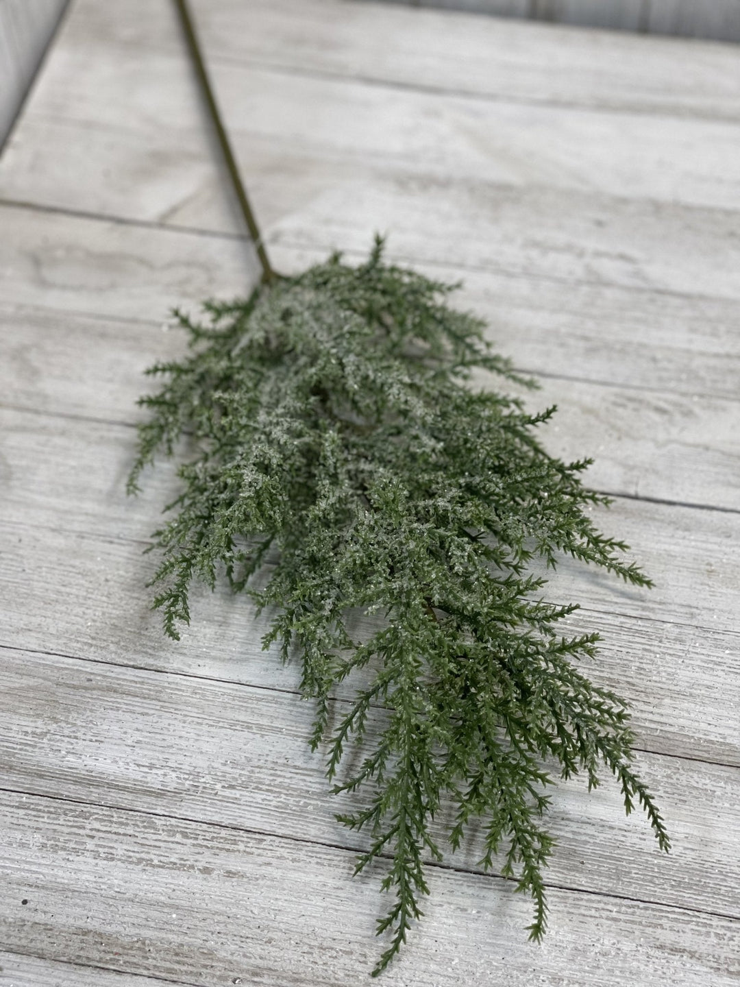 Iced juniper Pine pick with shimmer - Greenery Marketgreenery26086