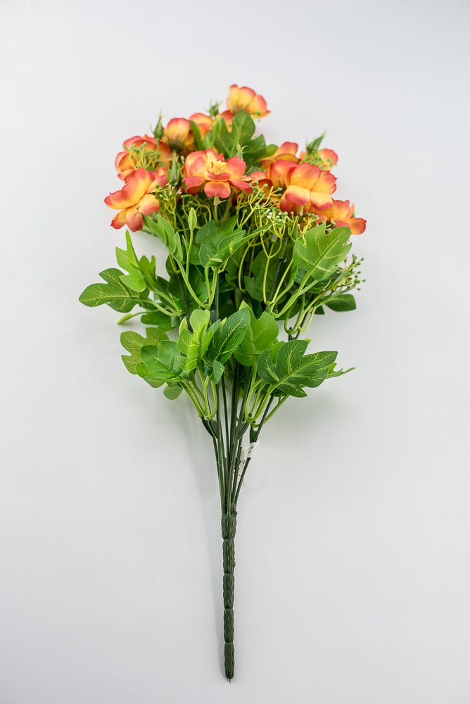 Indian Hawthorn Bush - Orange - Greenery Market