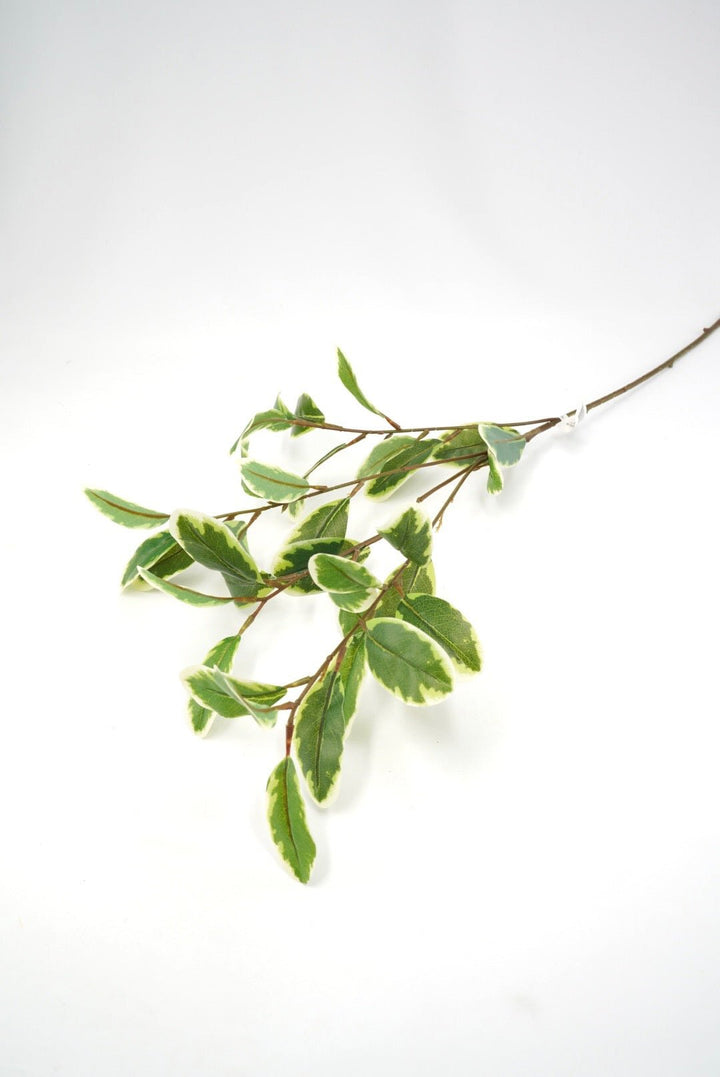 Japonica Leaves Spray - Variegated - Greenery Marketartificial flowers28211