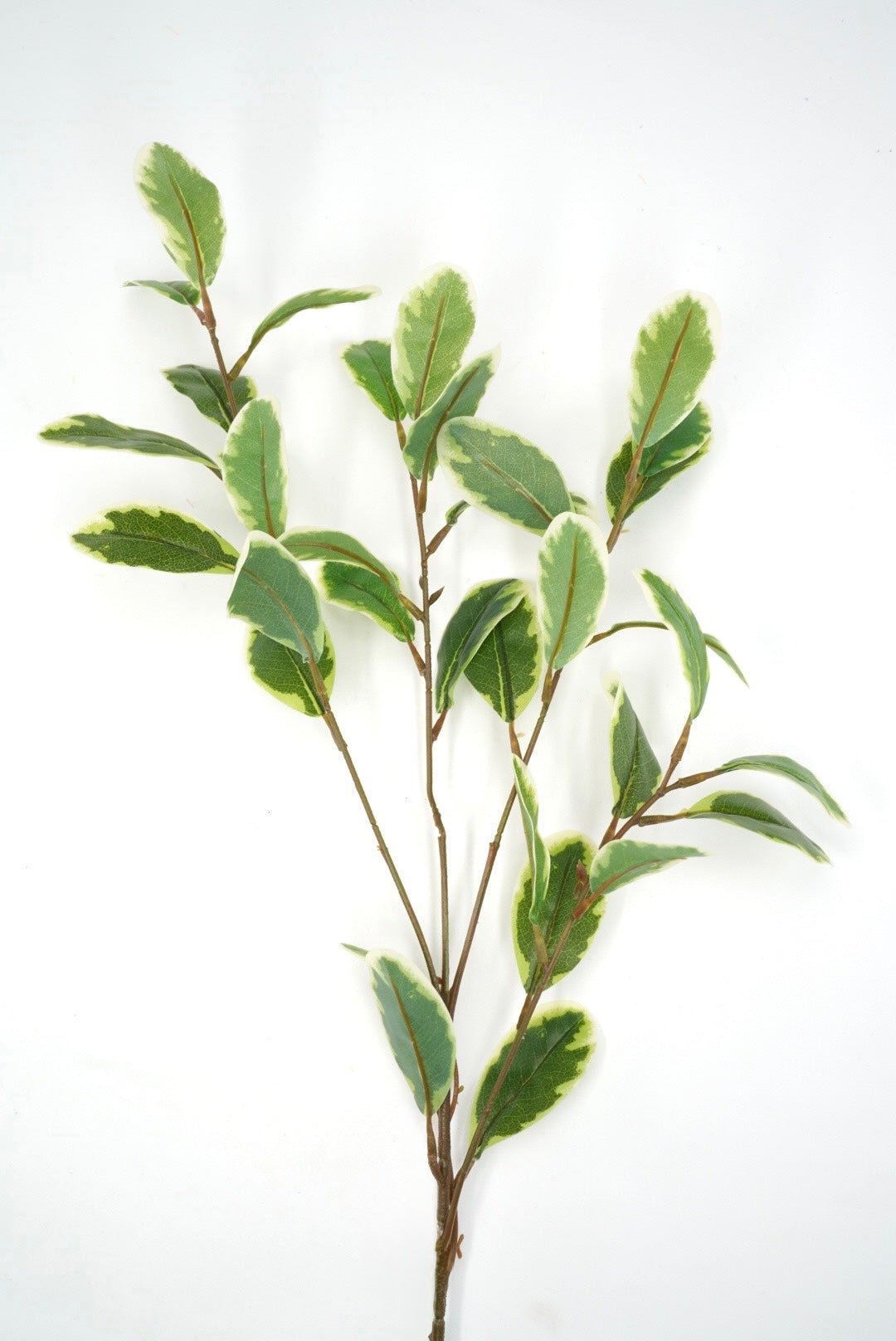 Japonica Leaves Spray - Variegated - Greenery Marketartificial flowers28211