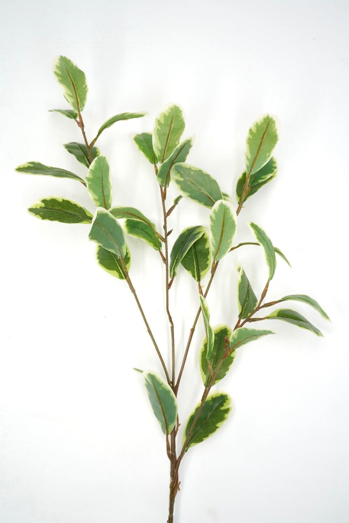 Japonica Leaves Spray - Variegated - Greenery Marketartificial flowers28211