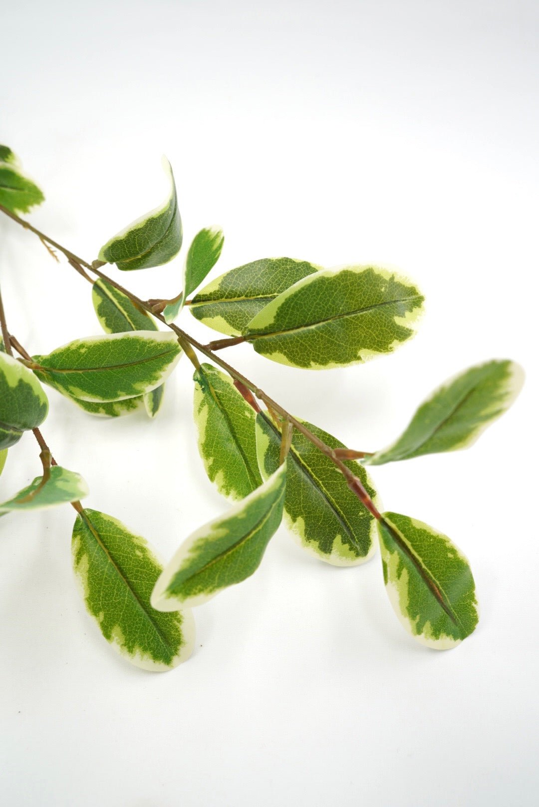 Japonica Leaves Spray - Variegated - Greenery Marketartificial flowers28211