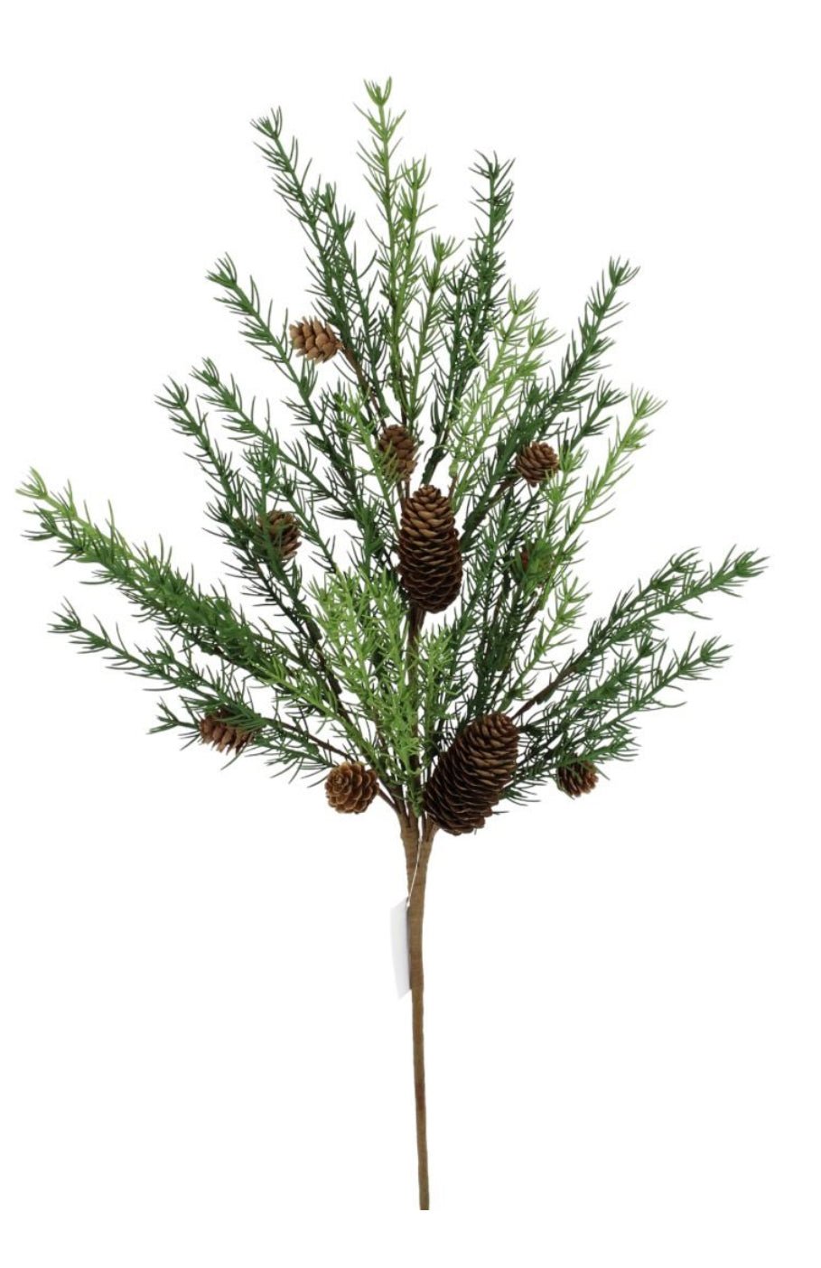 Juniper spray with cones - Greenery Market235658