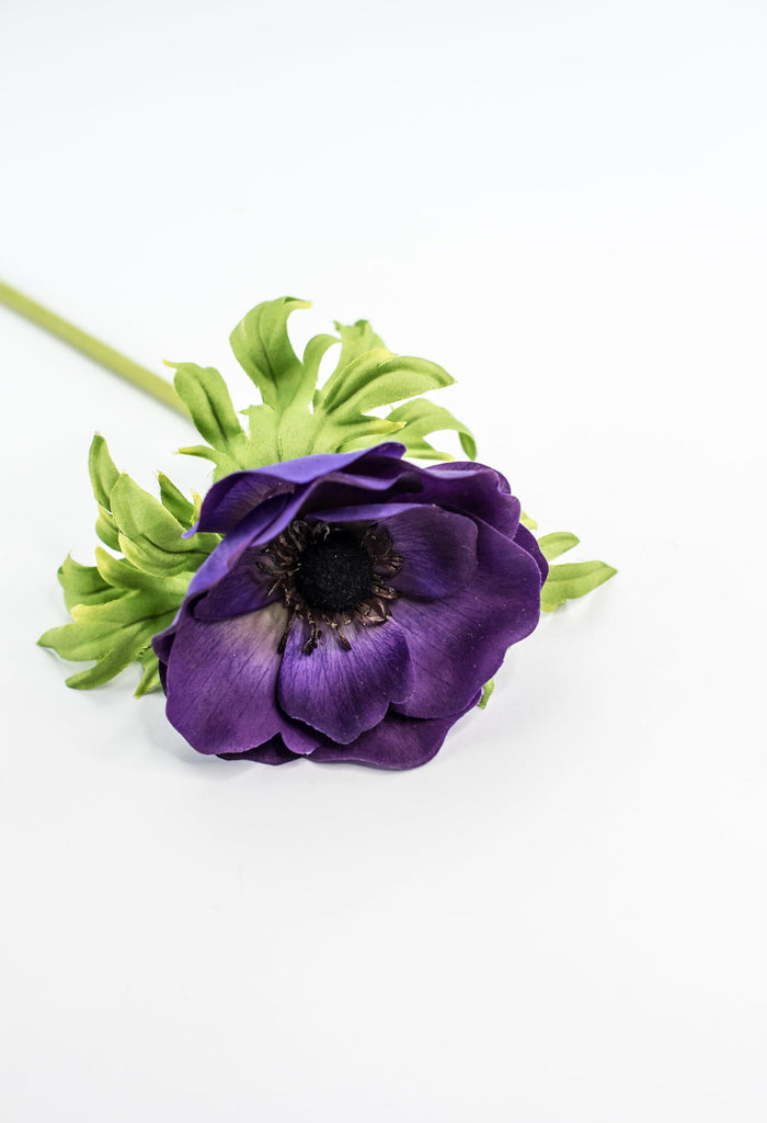 Just cut Anemone stem - purple - Greenery Market