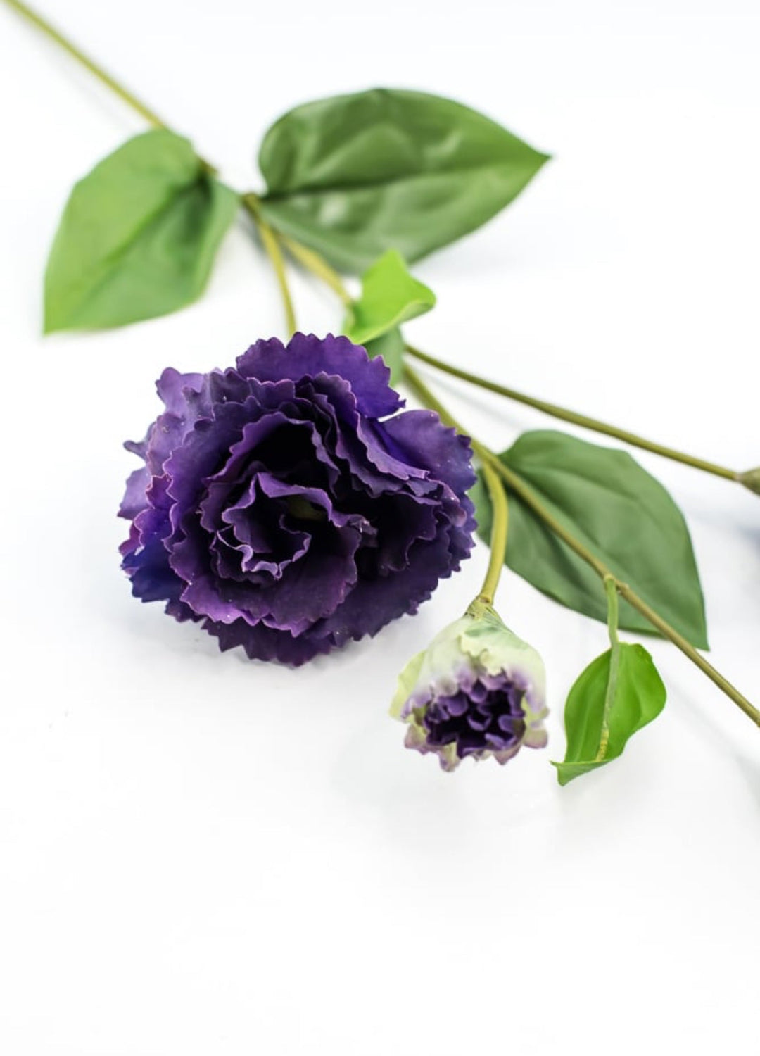 Just cut Lisianthus spray - Greenery MarketMTF23362 PURP