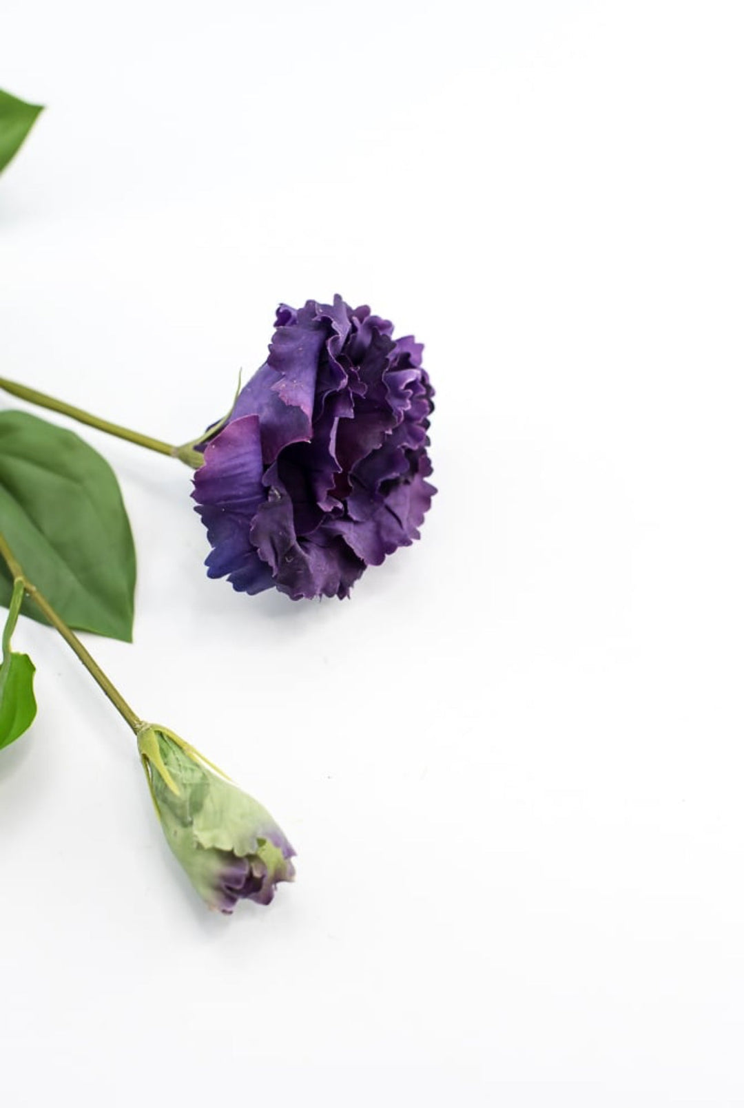 Just cut Lisianthus spray - Greenery MarketMTF23362 PURP