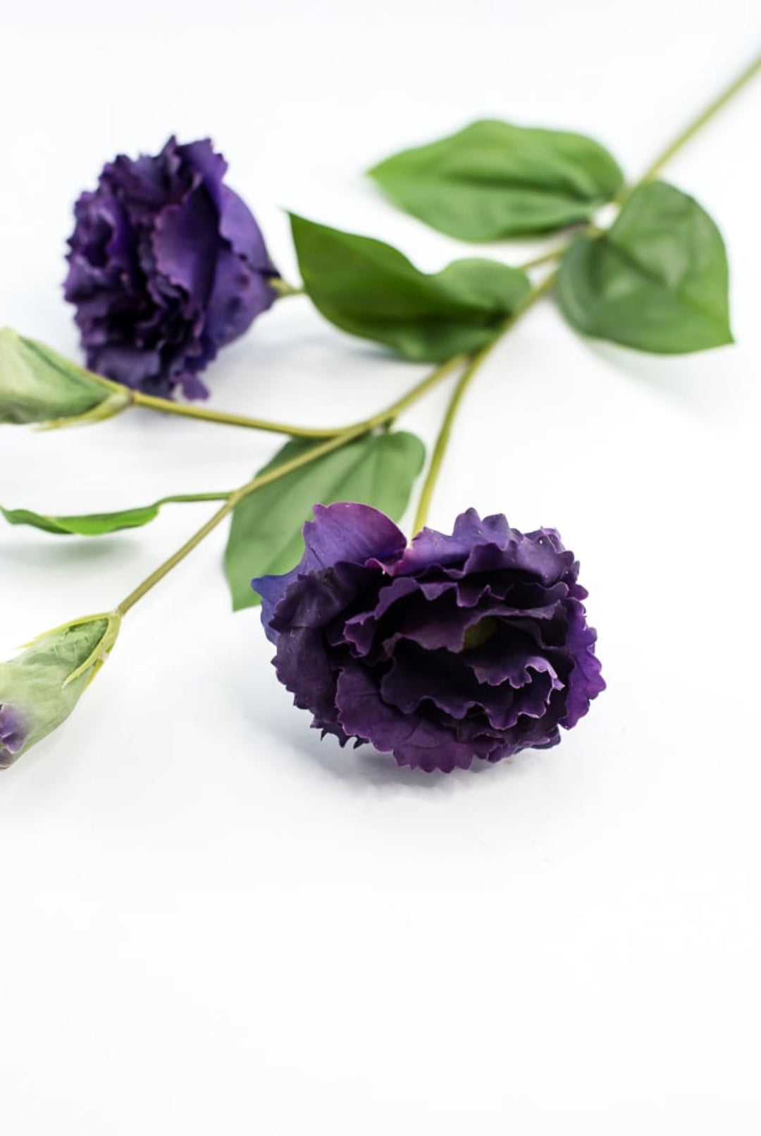 Just cut Lisianthus spray - Greenery MarketMTF23362 PURP