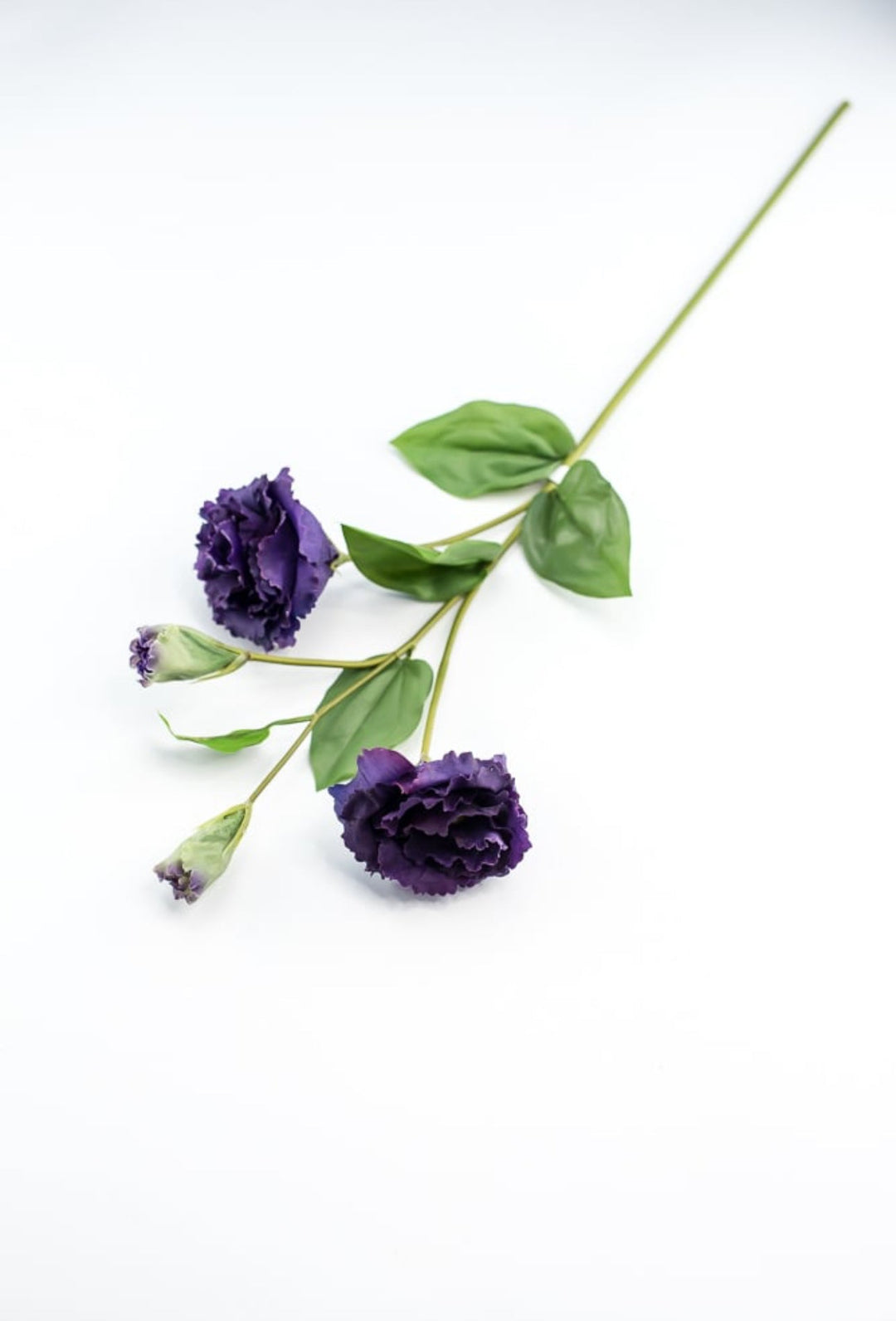 Just cut Lisianthus spray - Greenery MarketMTF23362 PURP