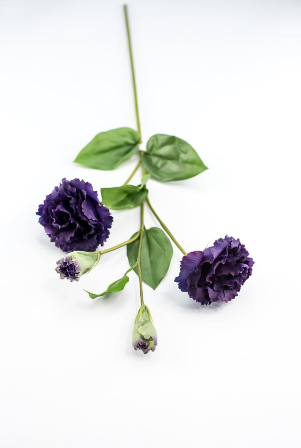 Just cut Lisianthus spray - Greenery MarketMTF23362 PURP