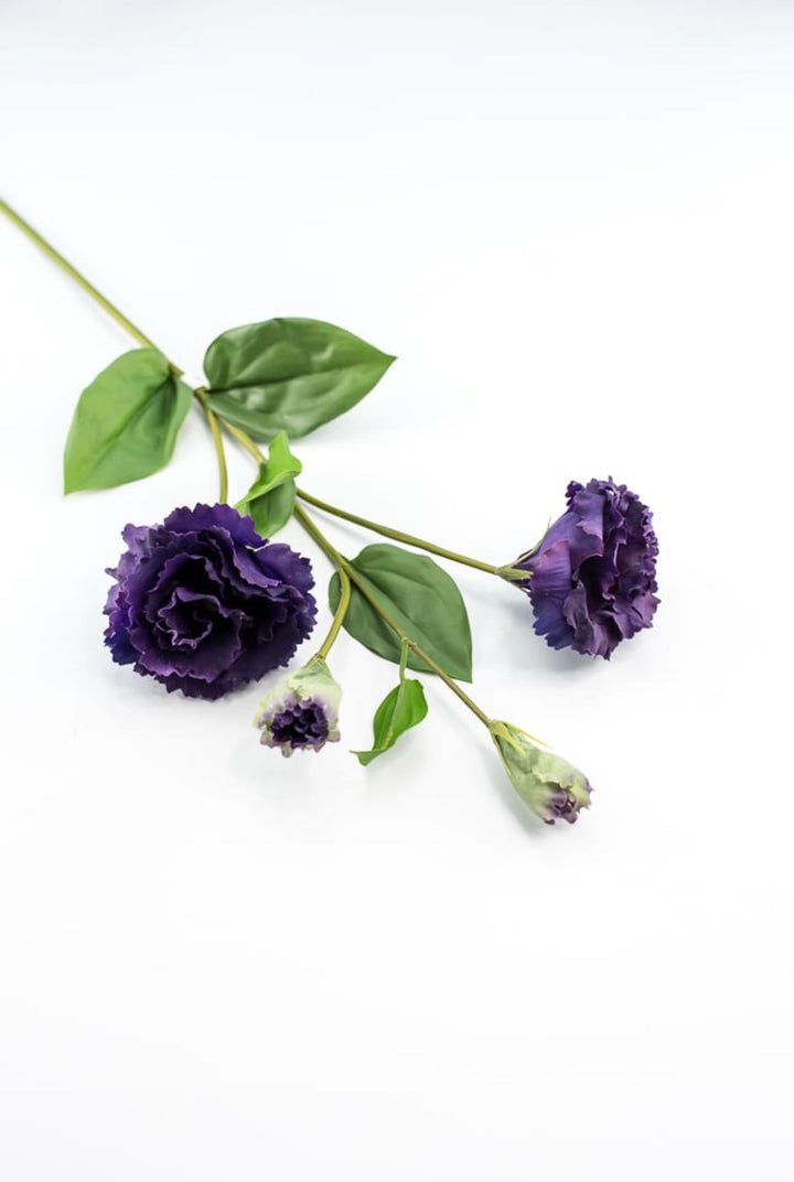 Just cut Lisianthus spray - Greenery MarketMTF23362 PURP