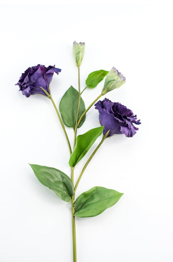 Just cut Lisianthus spray - Greenery MarketMTF23362 PURP