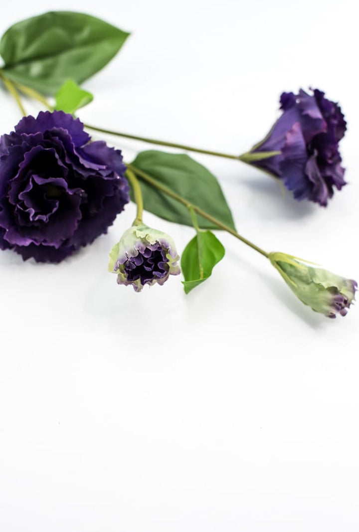 Just cut Lisianthus spray - Greenery MarketMTF23362 PURP