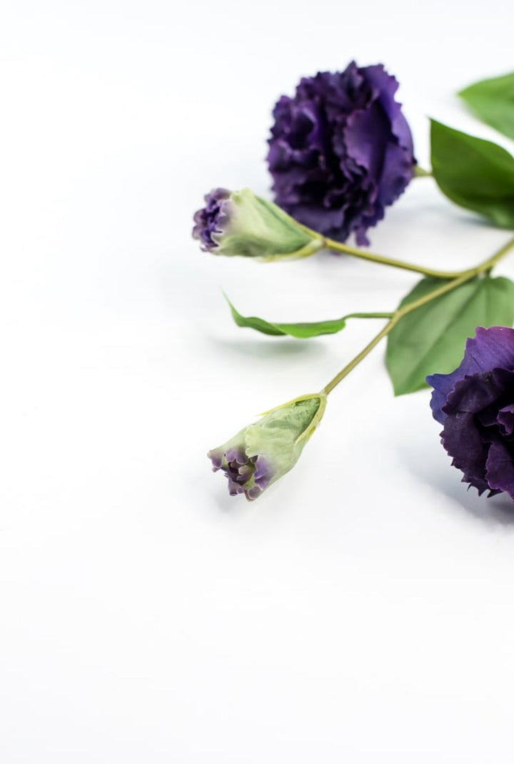 Just cut Lisianthus spray - Greenery MarketMTF23362 PURP