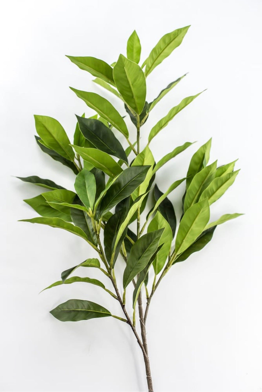 Laurel Leaf Spray - 29" - Greenery MarketArtificial Flowers85591