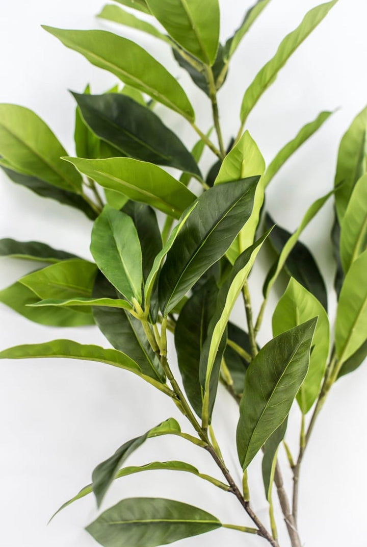 Laurel Leaf Spray - 29" - Greenery MarketArtificial Flowers85591
