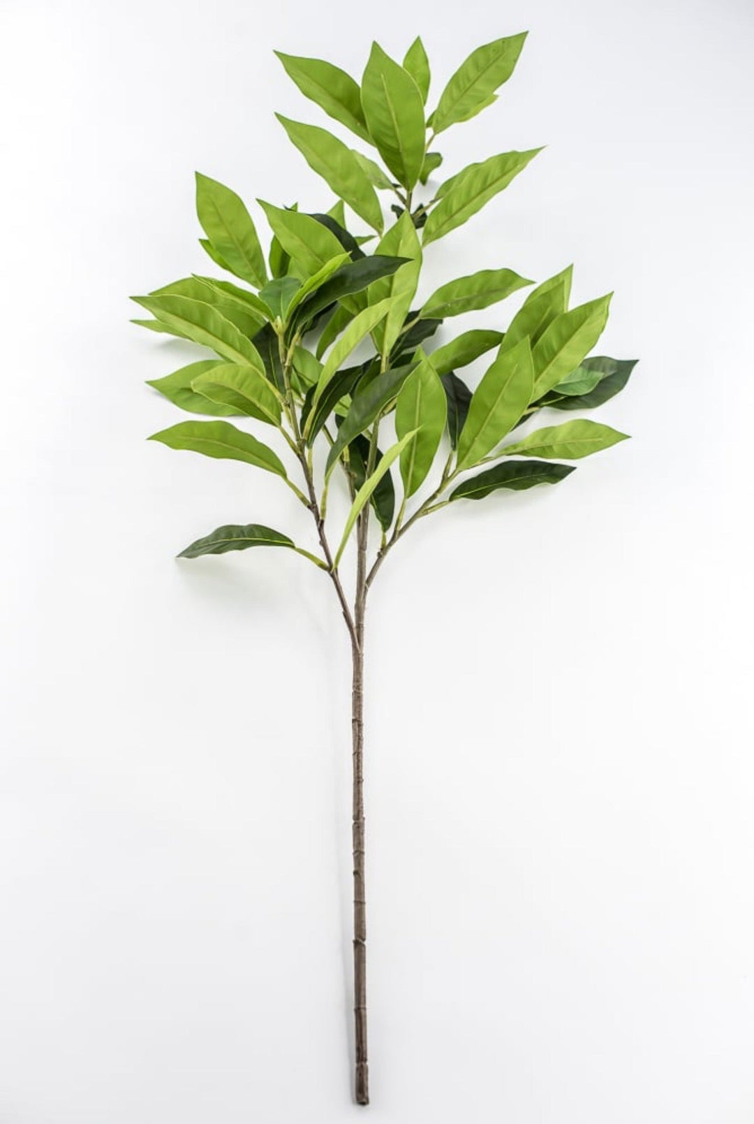 Laurel Leaf Spray - 29" - Greenery MarketArtificial Flowers85591