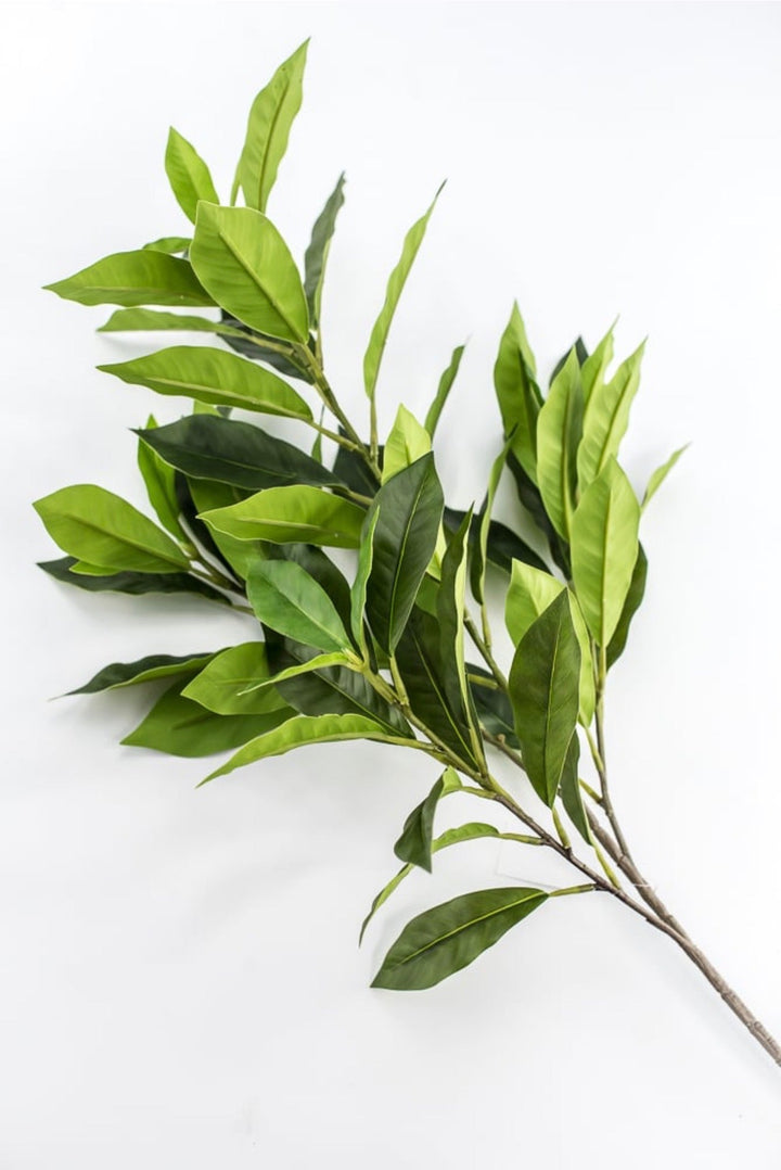 Laurel Leaf Spray - 29" - Greenery MarketArtificial Flowers85591