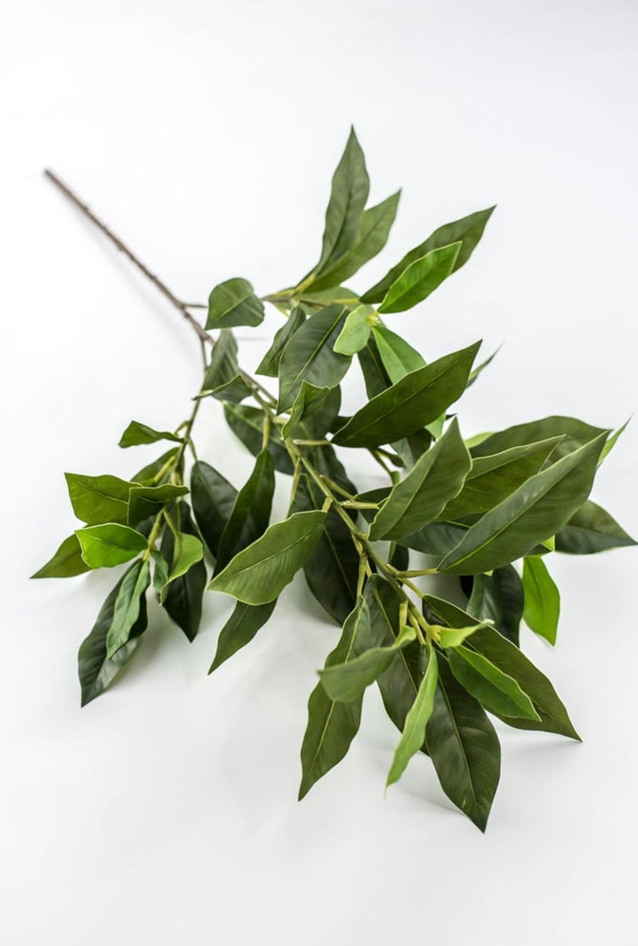 Laurel Leaf Spray - 29" - Greenery MarketArtificial Flowers85591
