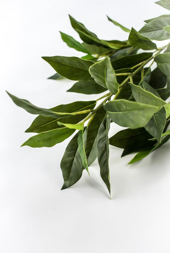 Laurel Leaf Spray - 29" - Greenery MarketArtificial Flowers85591