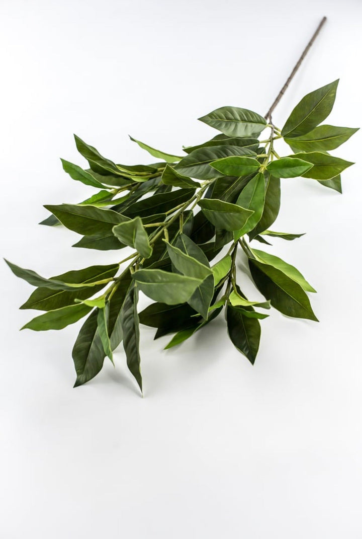 Laurel Leaf Spray - 29" - Greenery MarketArtificial Flowers85591