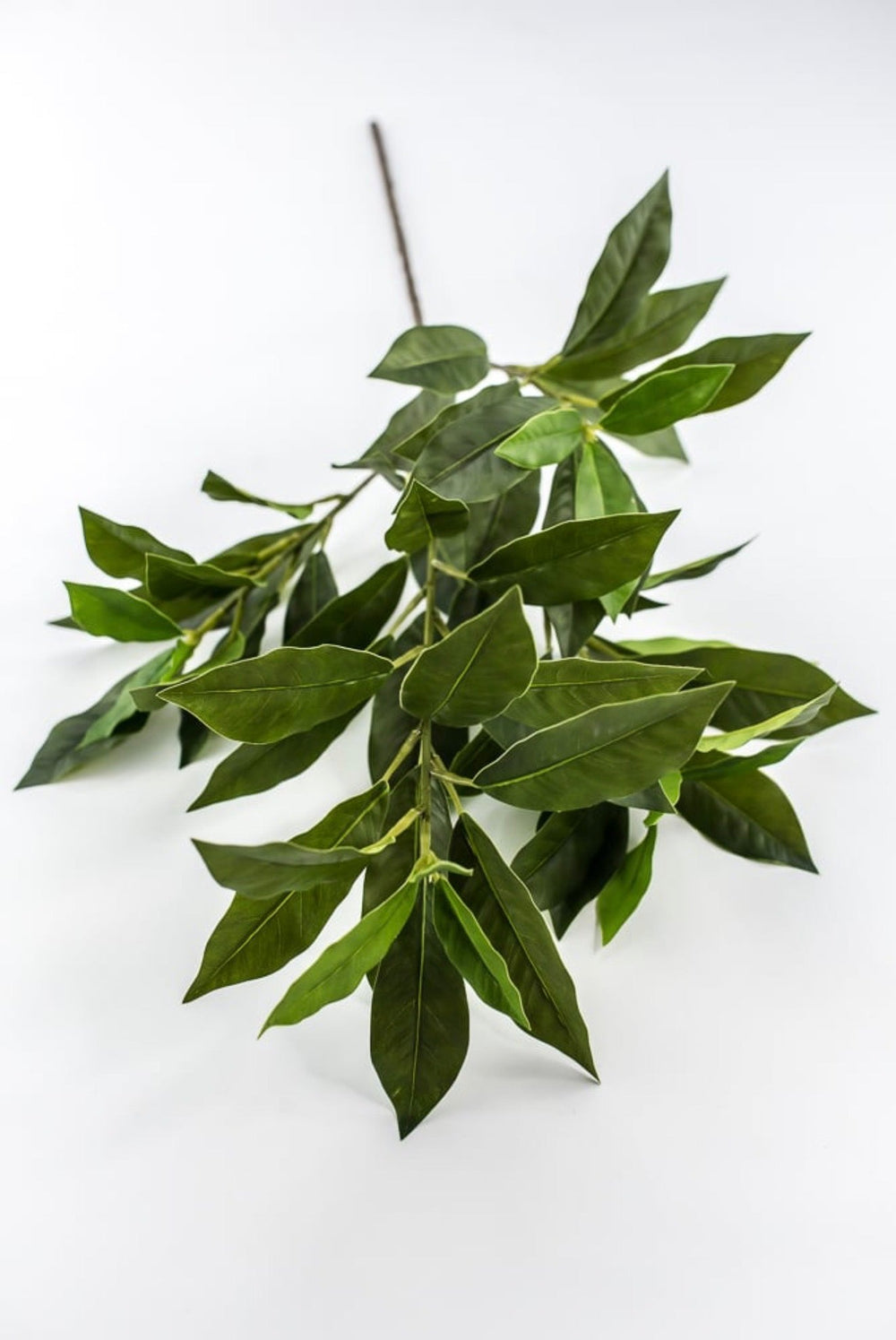 Laurel Leaf Spray - 29" - Greenery MarketArtificial Flowers85591