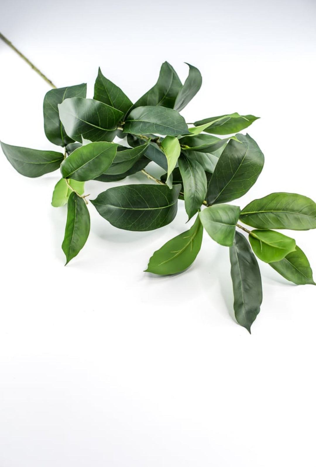 Laurel leaf spray - Greenery MarketArtificial Flora231863