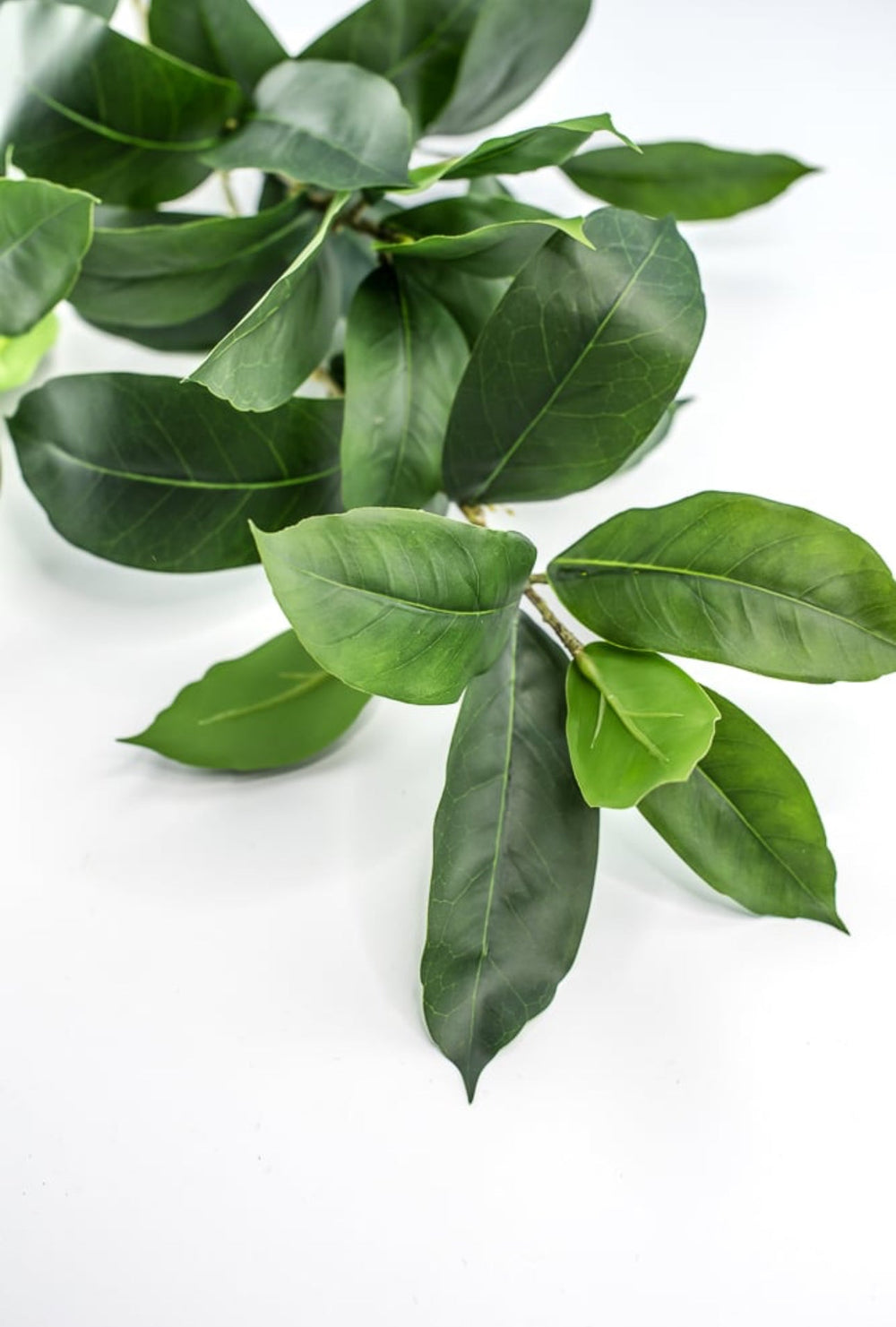 Laurel leaf spray - Greenery MarketArtificial Flora231863