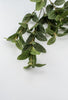 Laurel leaf variegated spray - Greenery MarketArtificial Flora13580GN