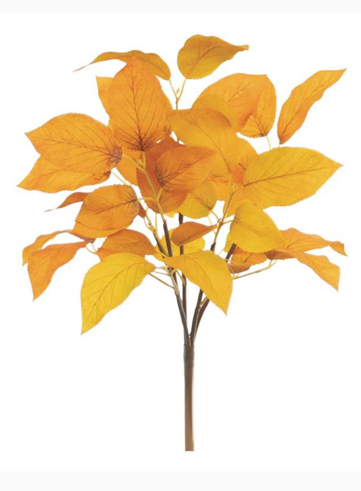 Laurel leaves bush - golden yellow - Greenery MarketgreeneryFL6285