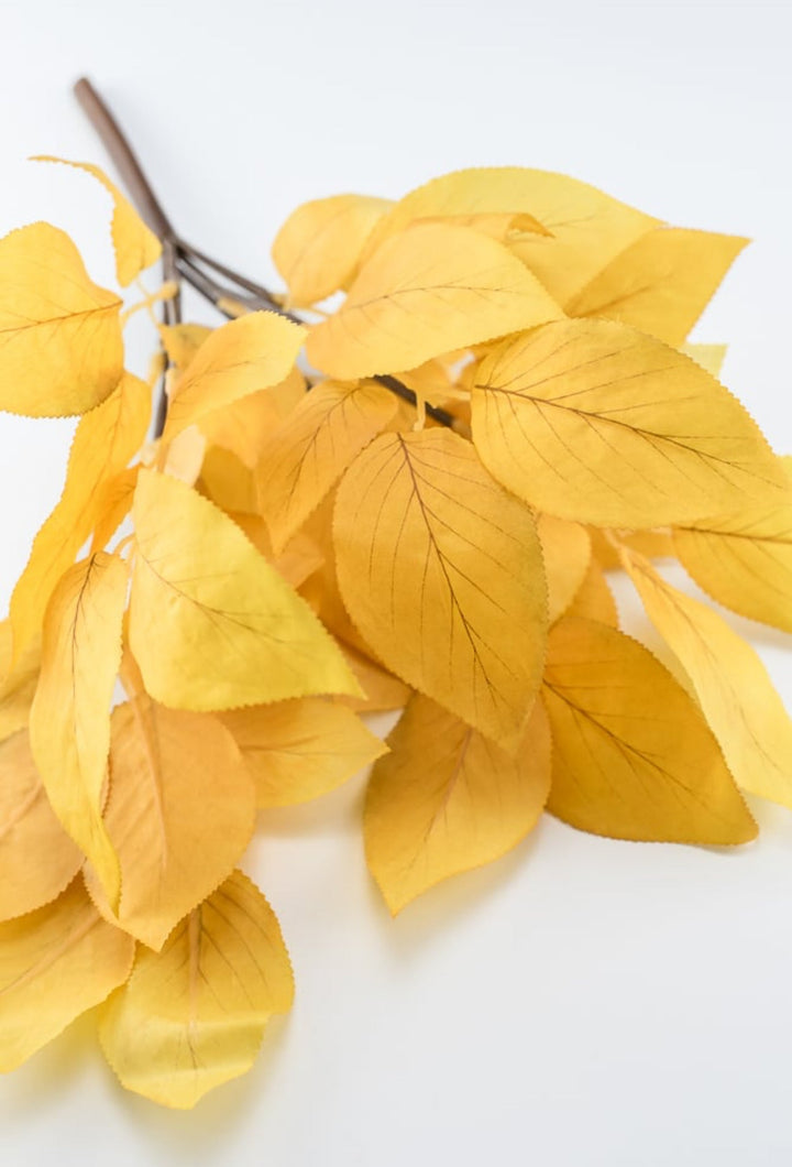 Laurel leaves bush - mustard yellow - Greenery MarketgreeneryFL6284