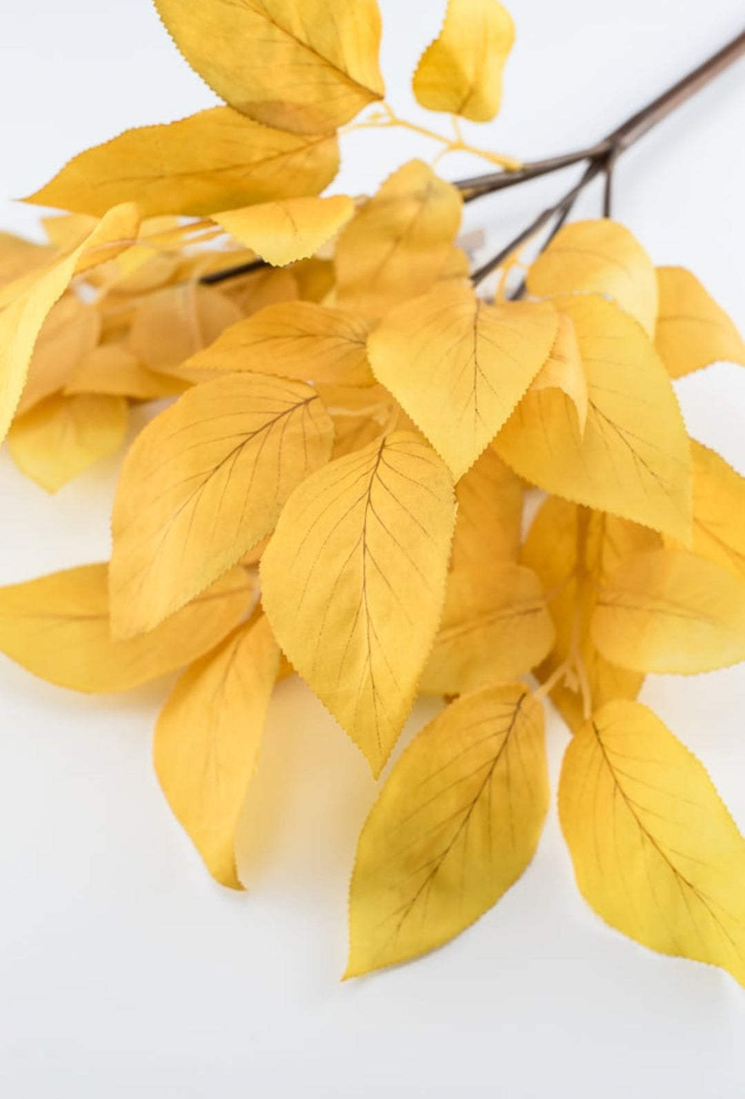 Laurel leaves bush - mustard yellow - Greenery MarketgreeneryFL6284