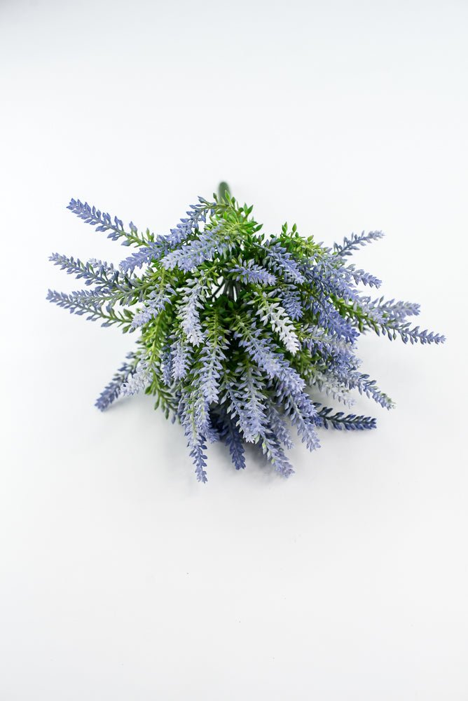 Lavender bush - violet blue - Greenery Market2150057VB