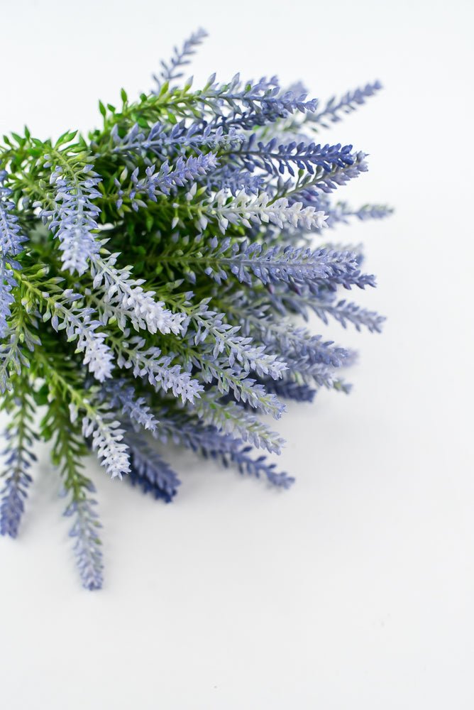 Lavender bush - violet blue - Greenery Market2150057VB