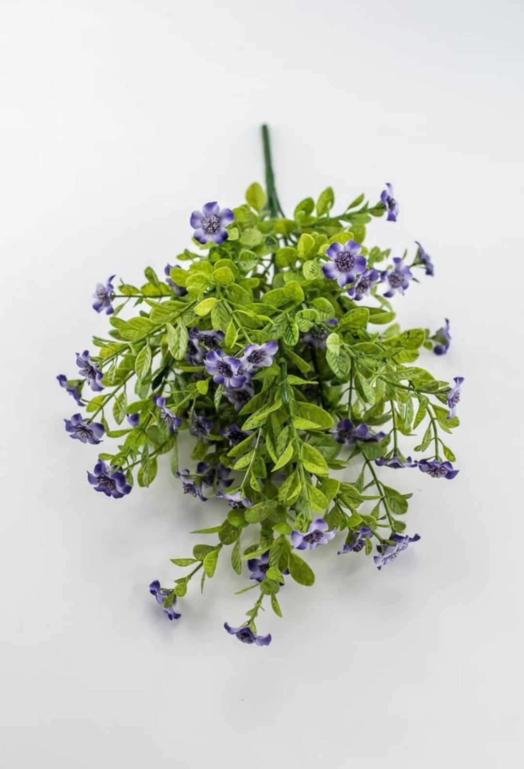 Lavender filler flower bush - Greenery Market82396 - LV