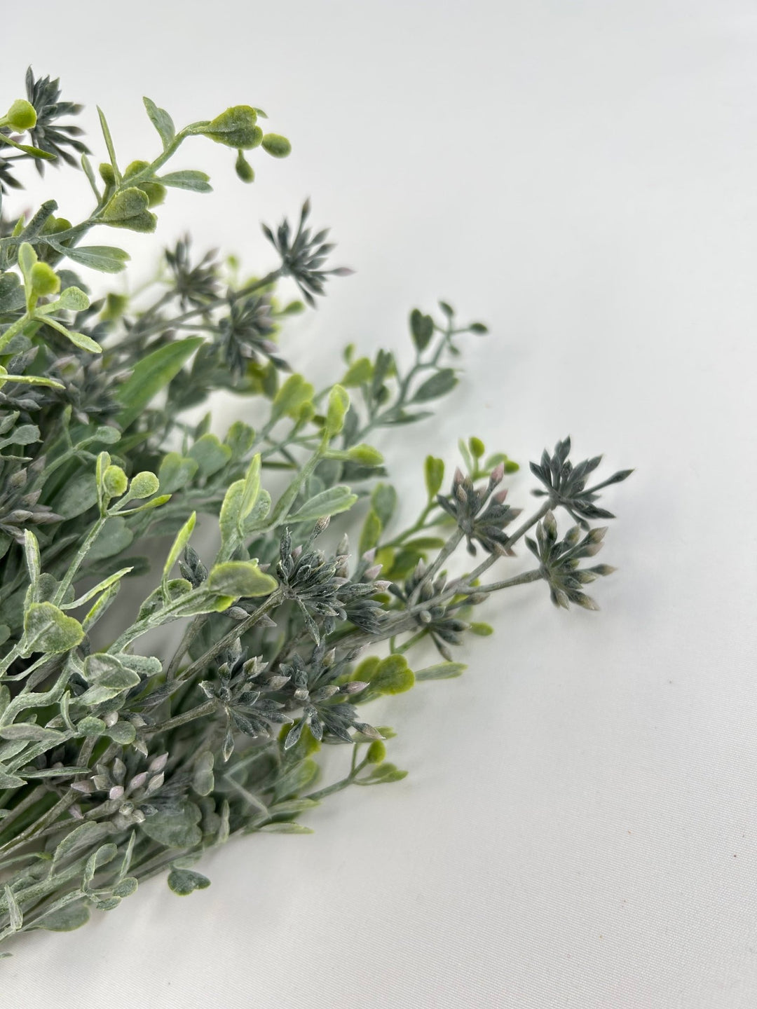 Lavender tipped Seed greenery bush - Greenery MarketgreeneryPF1731