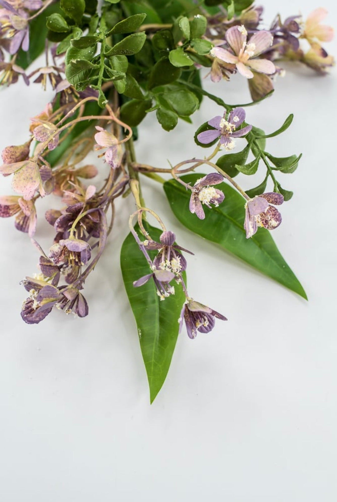 Lavender Waxflower Bush - 17" - Greenery Market23174-LV